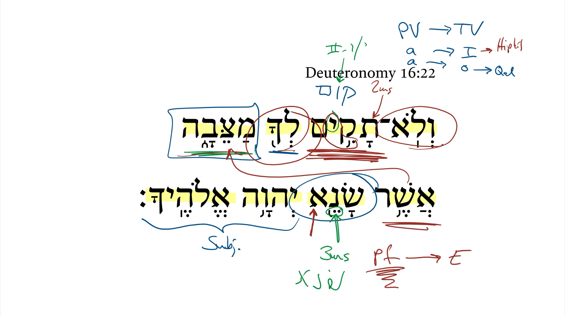 Deuteronomy 16:22 | Daily Dose of Hebrew