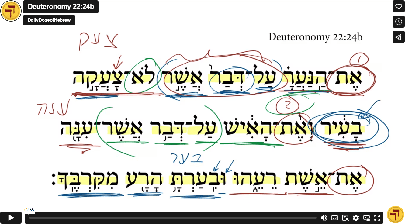 deuteronomy-22-24b-daily-dose-of-hebrew
