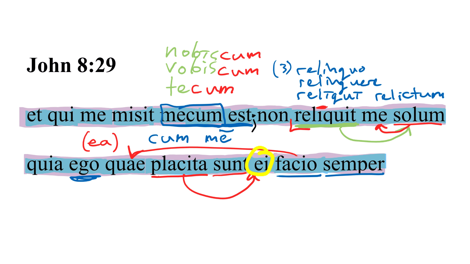 John 8:29 | Daily Dose of Latin