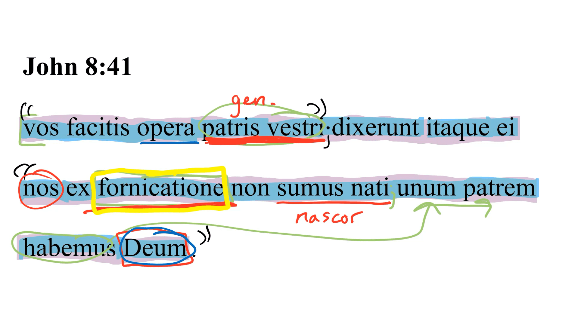 John 8:41 Latin Vulgate | Daily Dose of Latin