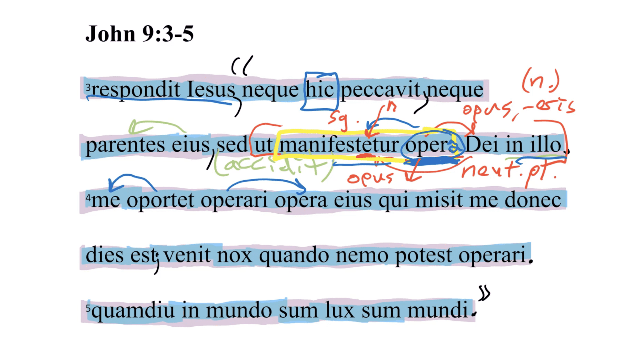 John 9:3–5 Latin Vulgate | Daily Dose of Latin