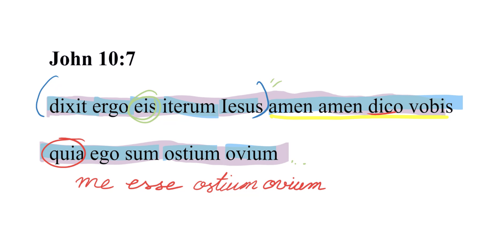 John 10:7 Latin Vulgate | Daily Dose of Latin