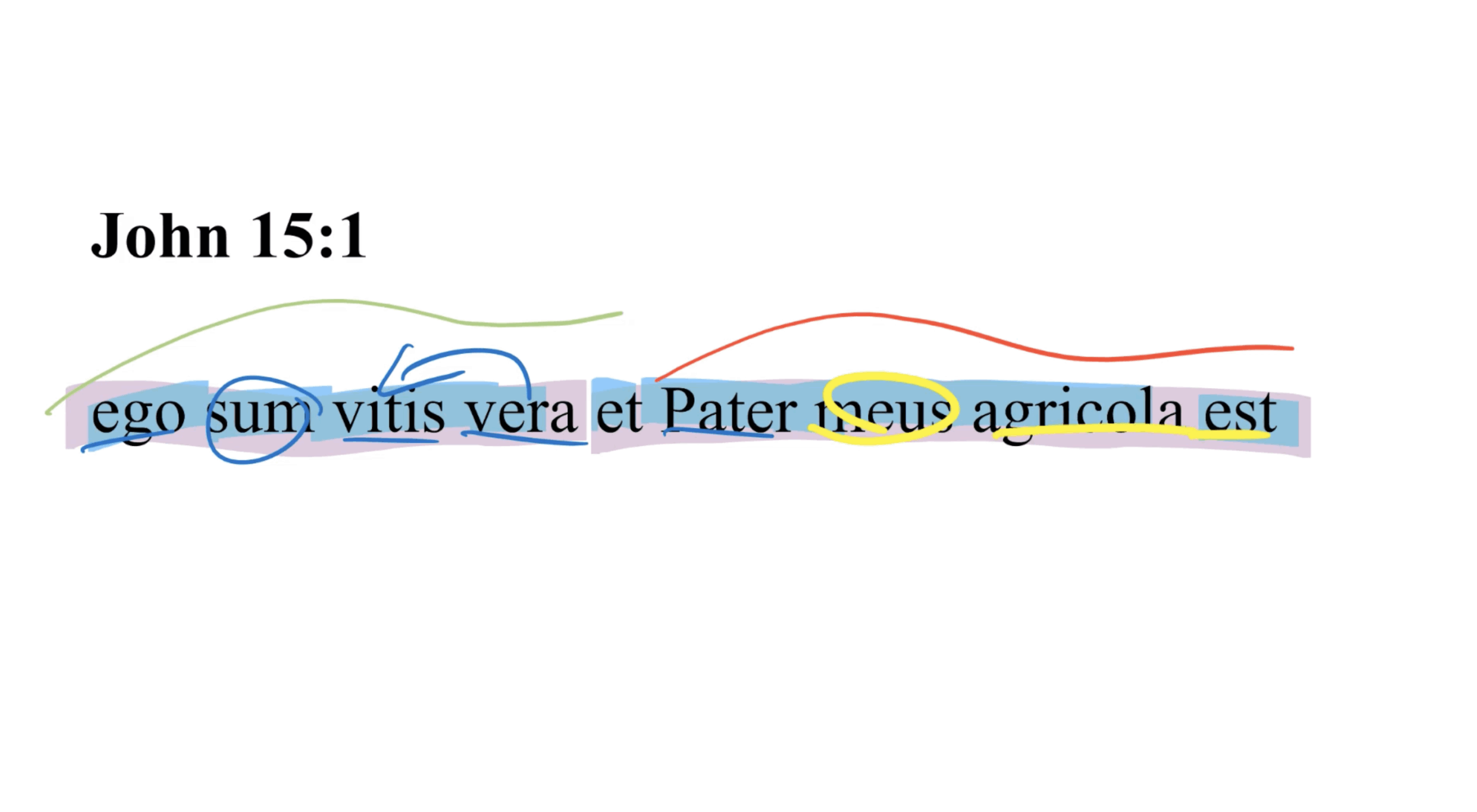 John 15:1 Latin Vulgate | Daily Dose of Latin
