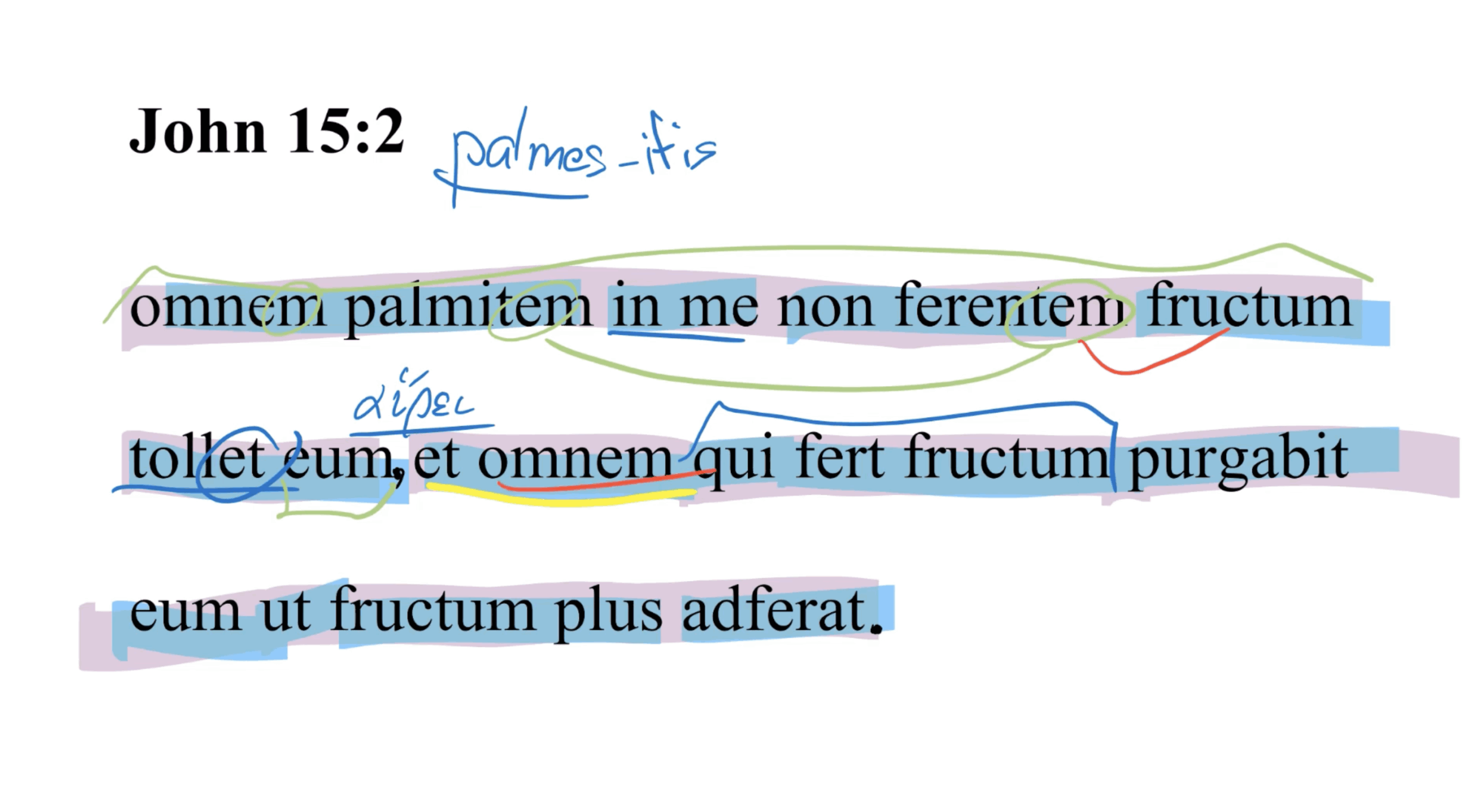 John 15:2 Latin Vulgate | Daily Dose of Latin