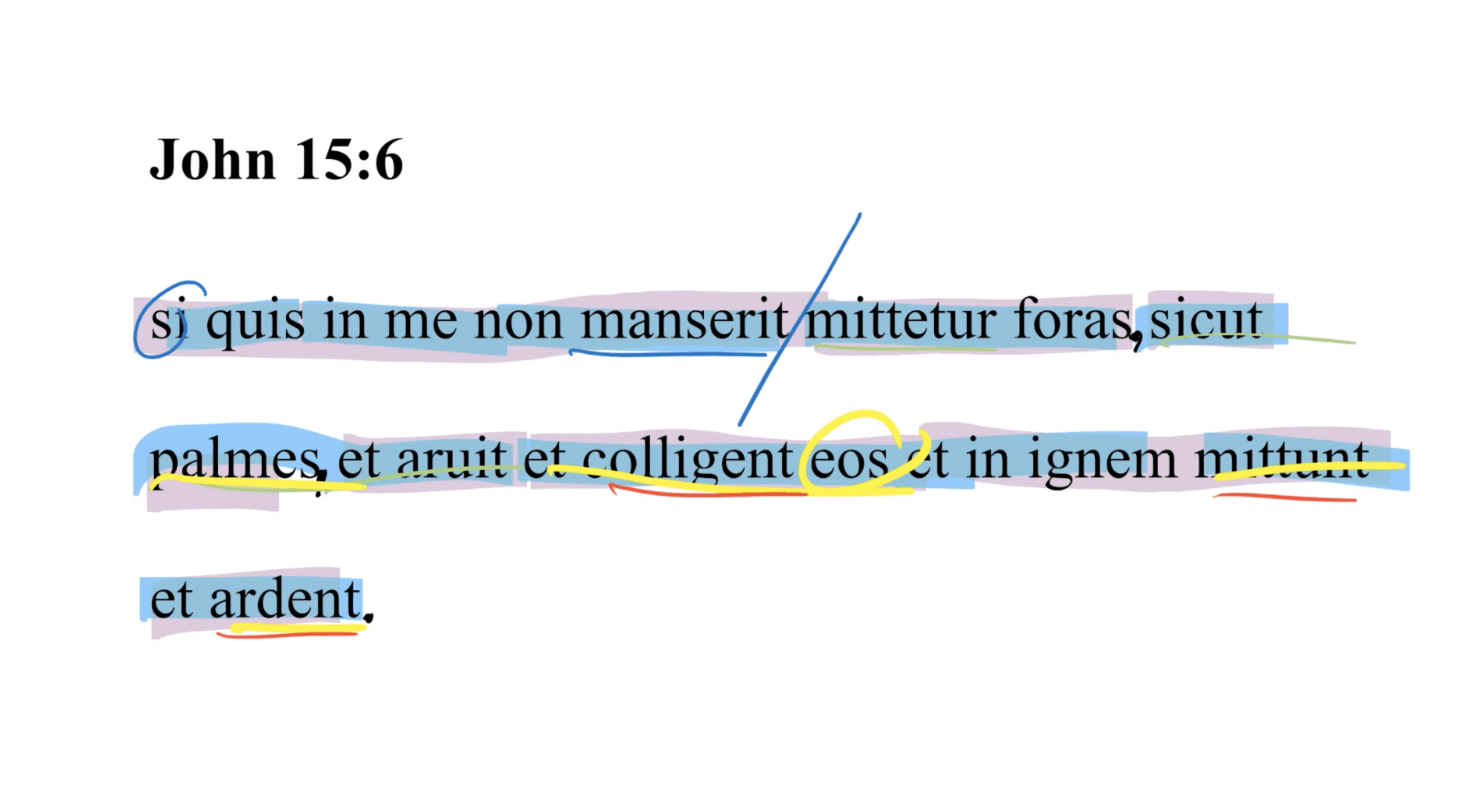 John 15:6 Latin Vulgate | Daily Dose of Latin
