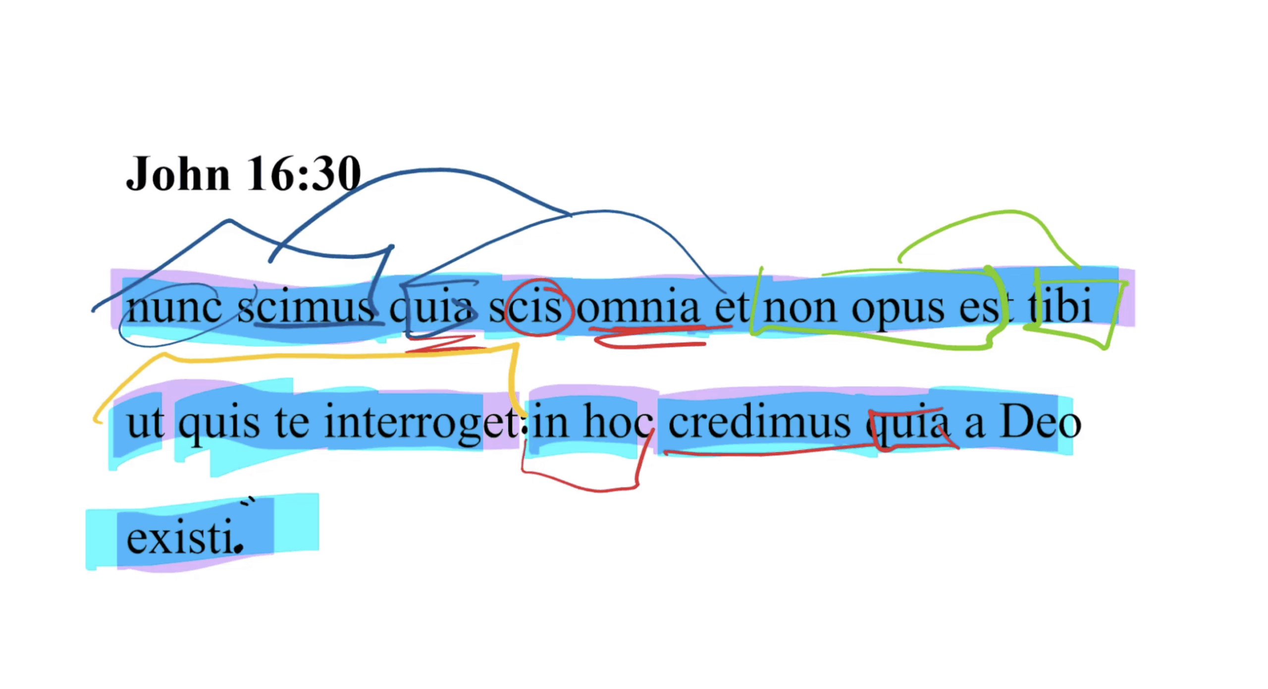 John 16:30 Latin Vulgate | Daily Dose of Latin