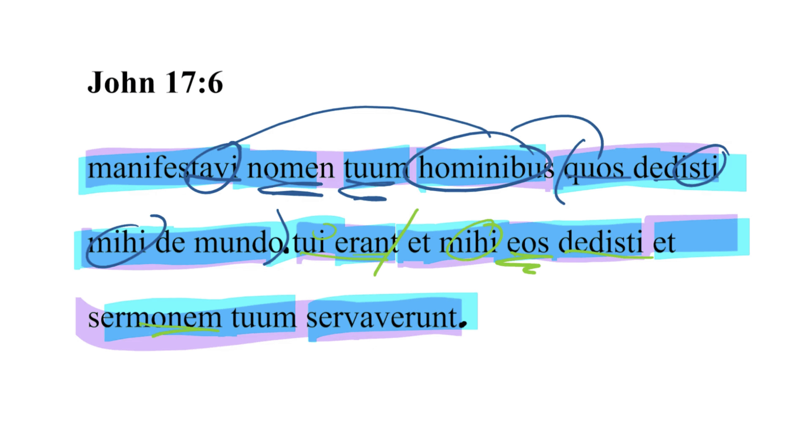 John 17:6 Latin Vulgate | Daily Dose of Latin