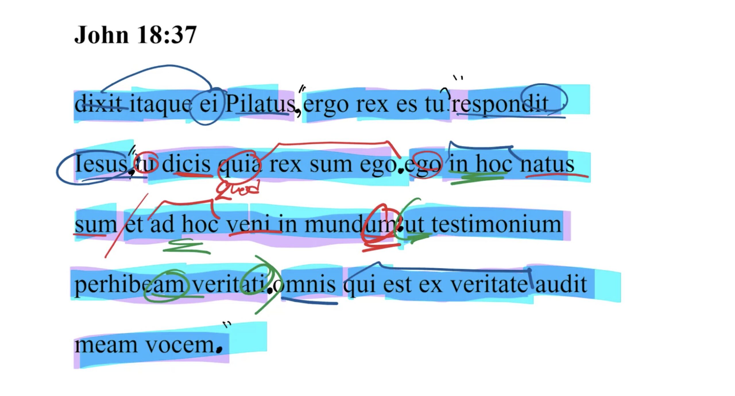 John 18:37 Latin Vulgate | Daily Dose of Latin
